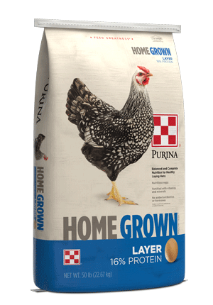 HomeGrown Layer Pellets or Crumbles for laying hens