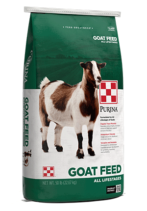 Green and white bag with brown and white goat