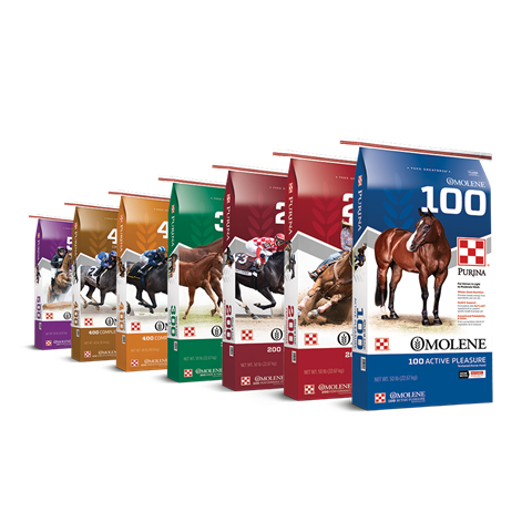 Omolene Horse Feed Product Line Up now with Outlast Gastric Support Supplement