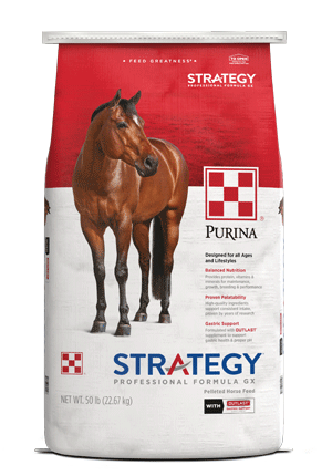 Image of Strategy® Professional Formula GX horse feed bag front facing