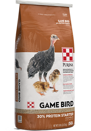 Purina® Game Bird 30% Protein Starter feed