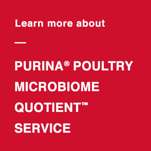 Poultry Microbiome Red Tile