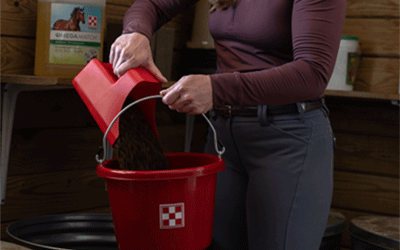 Image of using a red measuring scoop putting feed in a red bucket.
