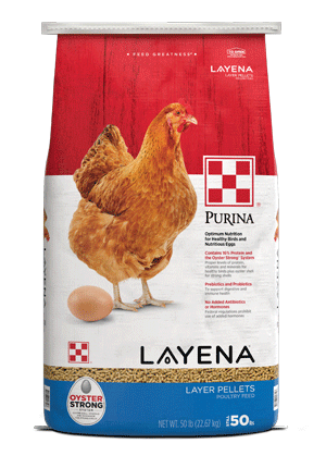 mage of Purina® Layena® poultry feed packages front view