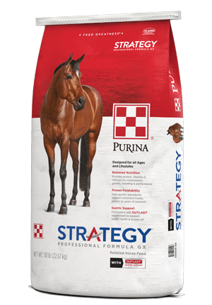 Image of Strategy® Professional Formula GX horse feed bag right facing