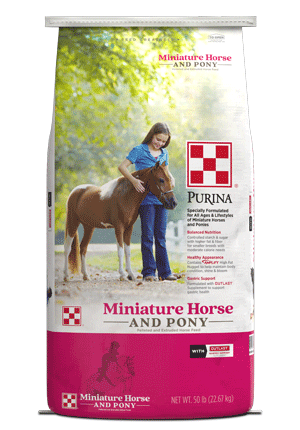 Image of Miniature Horse and Pony feed bags front facing