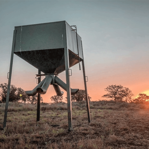 Deer feeder at sunset 