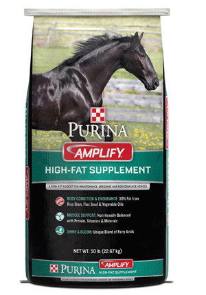 Amplify High Fat Horse Supplement Purina