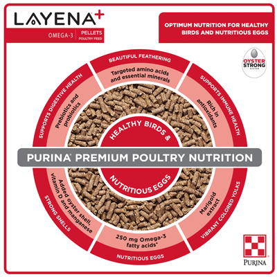 Image of Purina® Layena® Plus Omega-3 poultry feed infographic