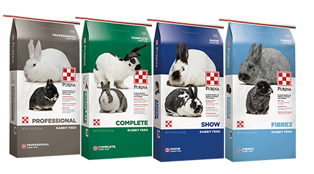 Commercial sale rabbit feed