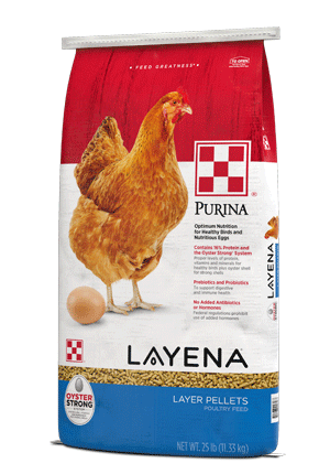 mage of Purina® Layena® poultry feed package right view