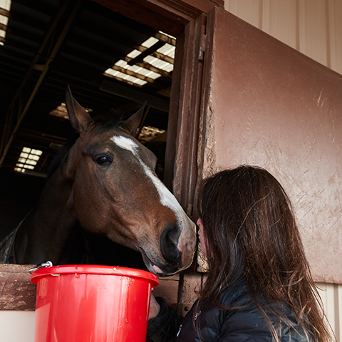 Woman holding red bucket for a horse in a stall