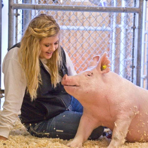 image of a woman and a pig 