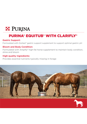 EquiTub ClariFly Infographic