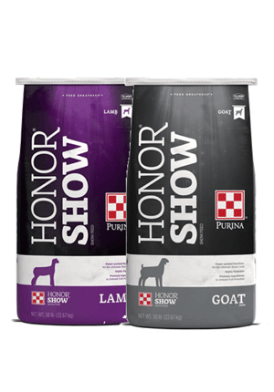 Image of Honor Show gray and white and purple and white show feed bags front facing