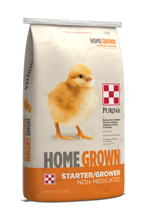 Home Grown Stater-Grower Feed for chicks and pullets