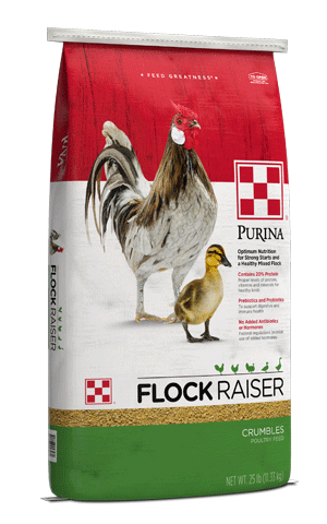 Image of Purina® Flock Raiser® Crumbles poultry feed