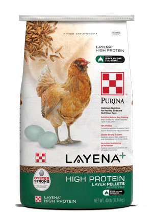 mage of Purina Layena High Protein 40 lb. package front view