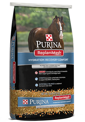 DuMOR Rice Bran Oil High-Calorie Horse Supplement, 1 gal. at Tractor Supply  Co.