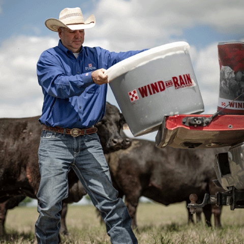 Tubs vs Bags: Cattle Mineral Debate| Purina Animal Nutrition