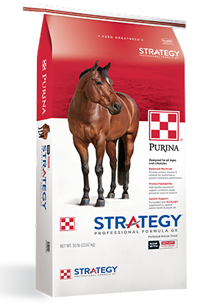 Strategy® Professional Formula GX 