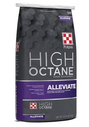 High Octane® ALLEVIATE® Supplement for show cattle, pigs, lambs and goats left facing