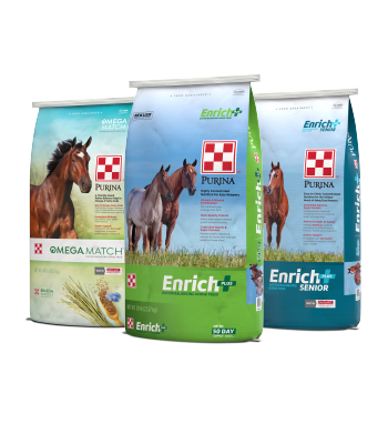 Horse Feed & Supplements l Purina