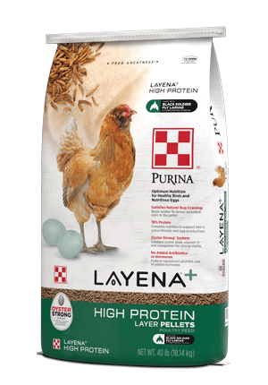 mage of Purina Layena High Protein 40 lb. package right side view