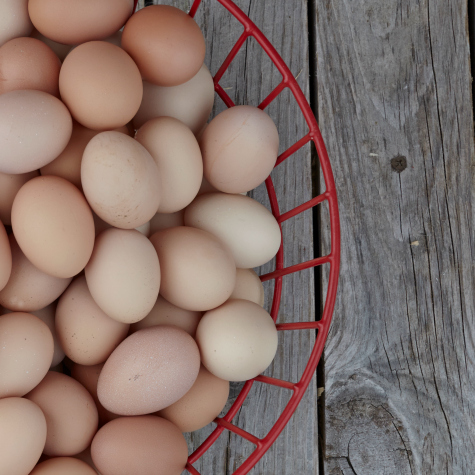 image of farm fresh eggs in a basket image