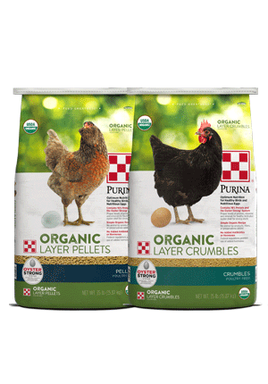 Image of Purina® Organic Layer Pellets or Crumbles poultry feed package front view