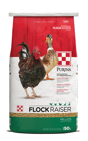 image of Purina® Flock Raiser® Pellets bag front view