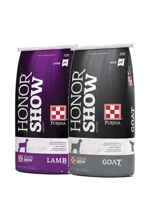 Image of Honor Show gray and white and purple and white show feed bags left facing