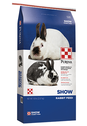 best food for rabbits in summer