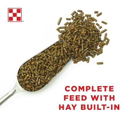 Image of Purina Equine Senior Horse Feed Inforgraphic