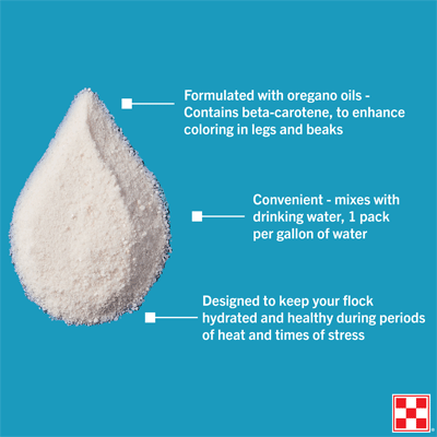 Image of Purina Chick Electrolyte Infographic