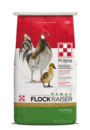 Image of Purina® Flock Raiser® Crumbles poultry feed front view