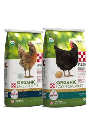 Image of Purina® Organic Layer Pellets or Crumbles  poultry feed package