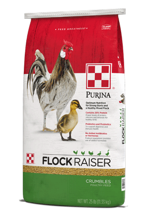 Image of Purina® Flock Raiser® Crumbles poultry feed right side view