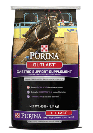 Outlast Horse Feed Gastric Support Supplement bag front facing