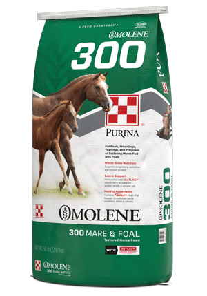 Image of Omolene #300® Mare & Foal horse feed right facingbag