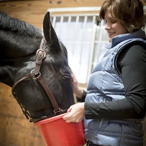 Woman holding red bucket for a horse in a stall