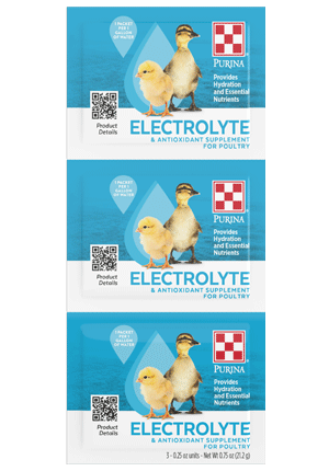 Image of Purina Chick Electrolyte 3 Pack Front