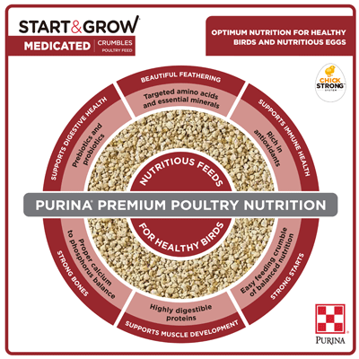 Image of Purina® Start & Grow® Medicated poultry feed bag inforgraphic