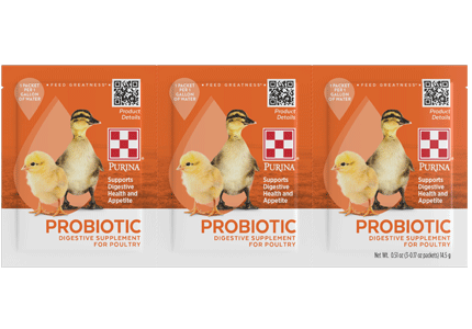 Image of Purina® Probiotic Digestive Supplement 3 Pack Front