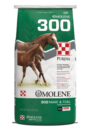 Image of Omolene #300® Mare & Foal horse feed bag front facing