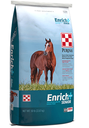 Purina horse feed near me best sale