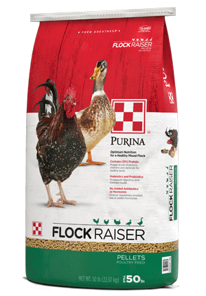 image of Purina® Flock Raiser® Pellets bag right side view