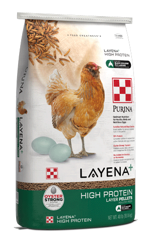 Image of Purina Layena High Protein 40 lb. package