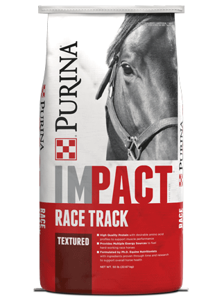 Impact Race Track horse feed right front bag