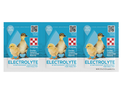 Image of Purina Chick Electrolyte 3 Pack Front